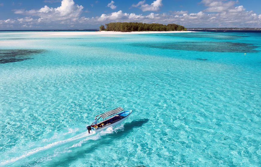 Mnemba Snorkeling Tour