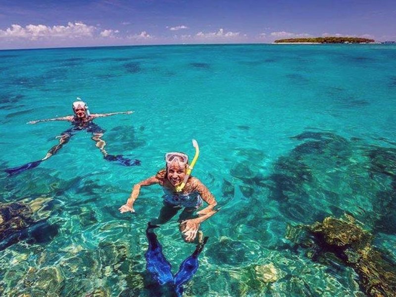 Mnemba Snorkeling Tour