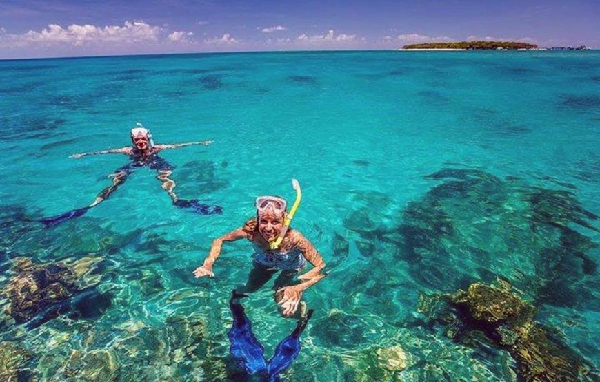 Mnemba Snorkeling Tour