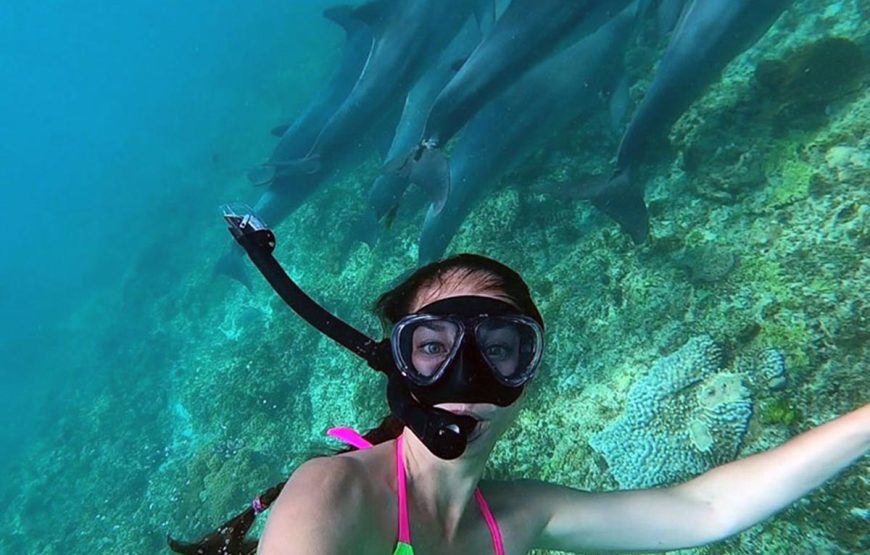 Mnemba Snorkeling Tour