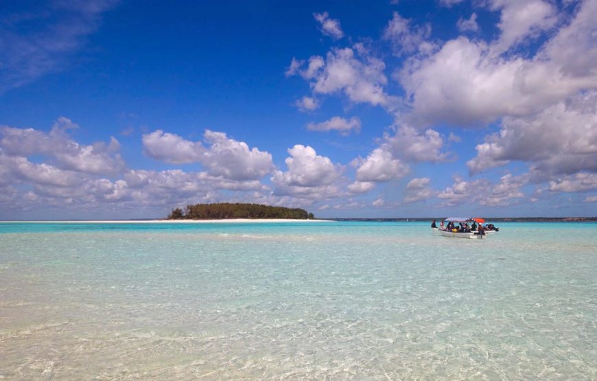 Mnemba Snorkeling Tour