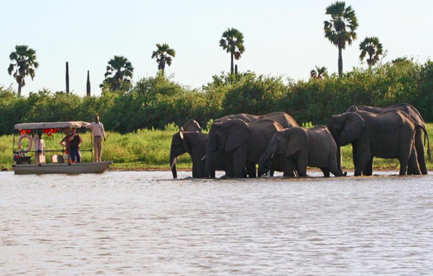 Selous Day Trip Safaris from Zanzibar
