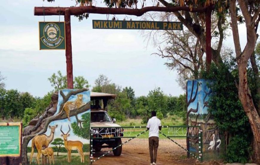 Mikumi Day Trip Safaris from Zanzibar