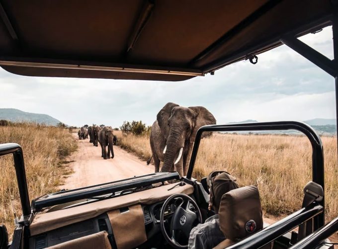 Selous Day Trip Safaris from Zanzibar