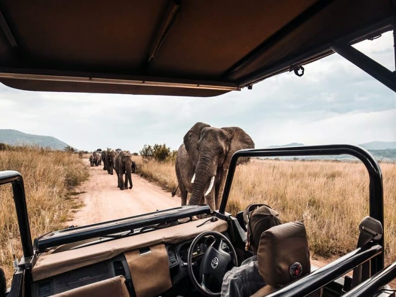 Selous Day Trip Safaris from Zanzibar