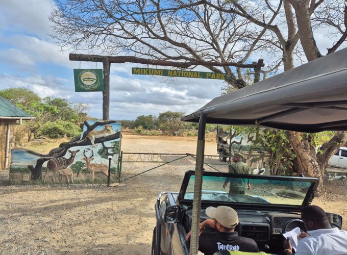 Mikumi Day Trip Safaris from Zanzibar