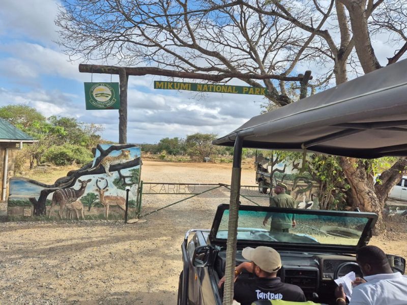 Mikumi Day Trip Safaris from Zanzibar