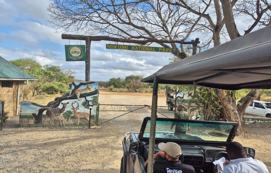 Mikumi Day Trip Safaris from Zanzibar
